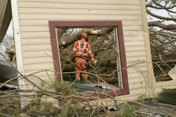 Olympia, WA Tree Removal Company